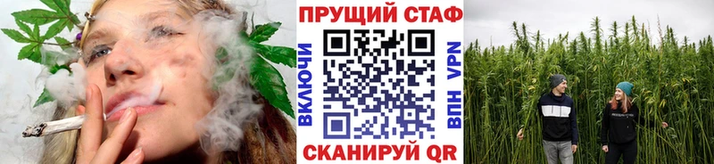 A-PVP Порхов