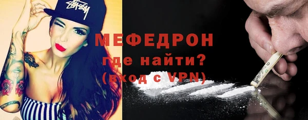 индика Богданович