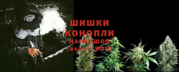 Альфа ПВП Богородск