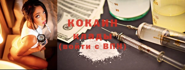 индика Богданович