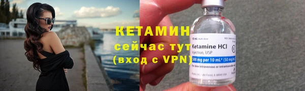 индика Богданович