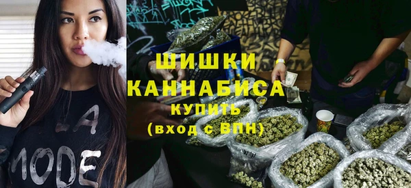 Альфа ПВП Богородск