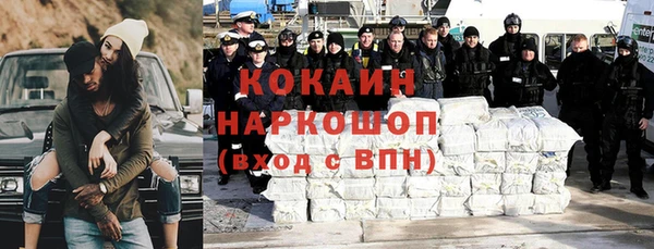 индика Богданович