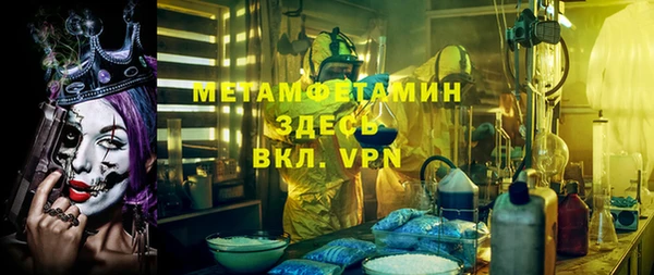 индика Богданович