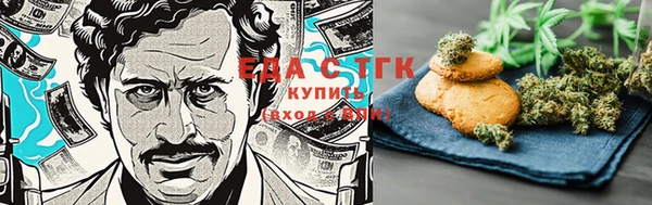 индика Богданович