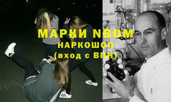 индика Богданович