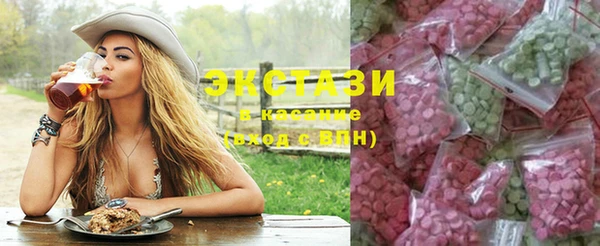 индика Богданович