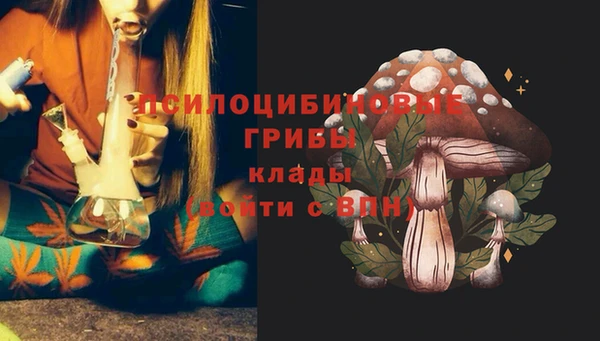 синтетический гашиш Богородицк