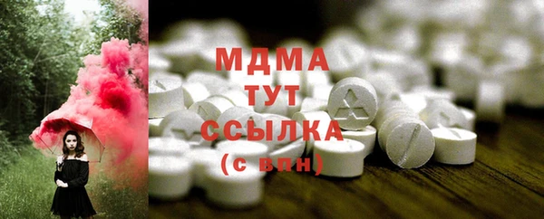 индика Богданович