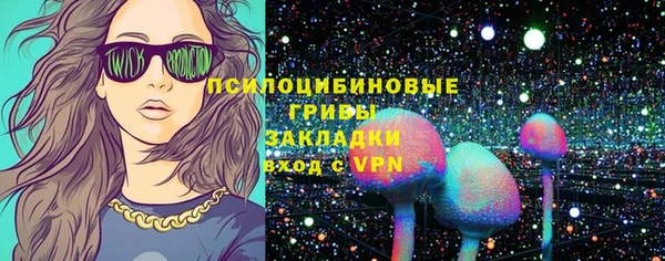 PSILOCYBIN Белокуриха